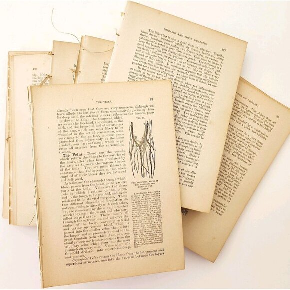 1893 Cottage Physician Victorian Ephemera Lot Of 300 Pcs Medical 1st Aid LGDWB3 - Picture 2 of 9